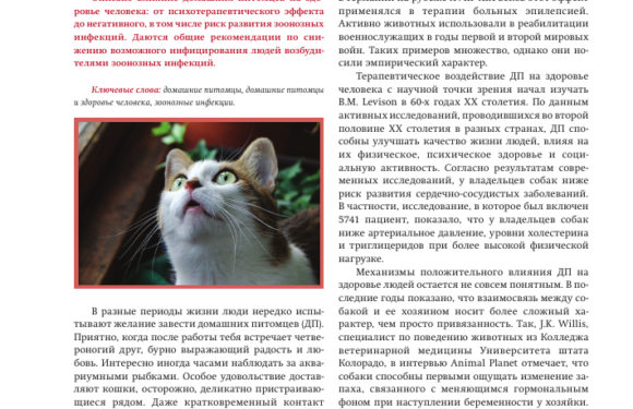 Новости о здоровье питомцев